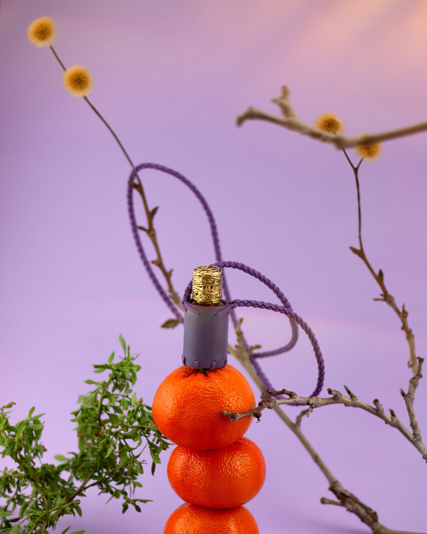 SUR - Brass Edition (Lila)