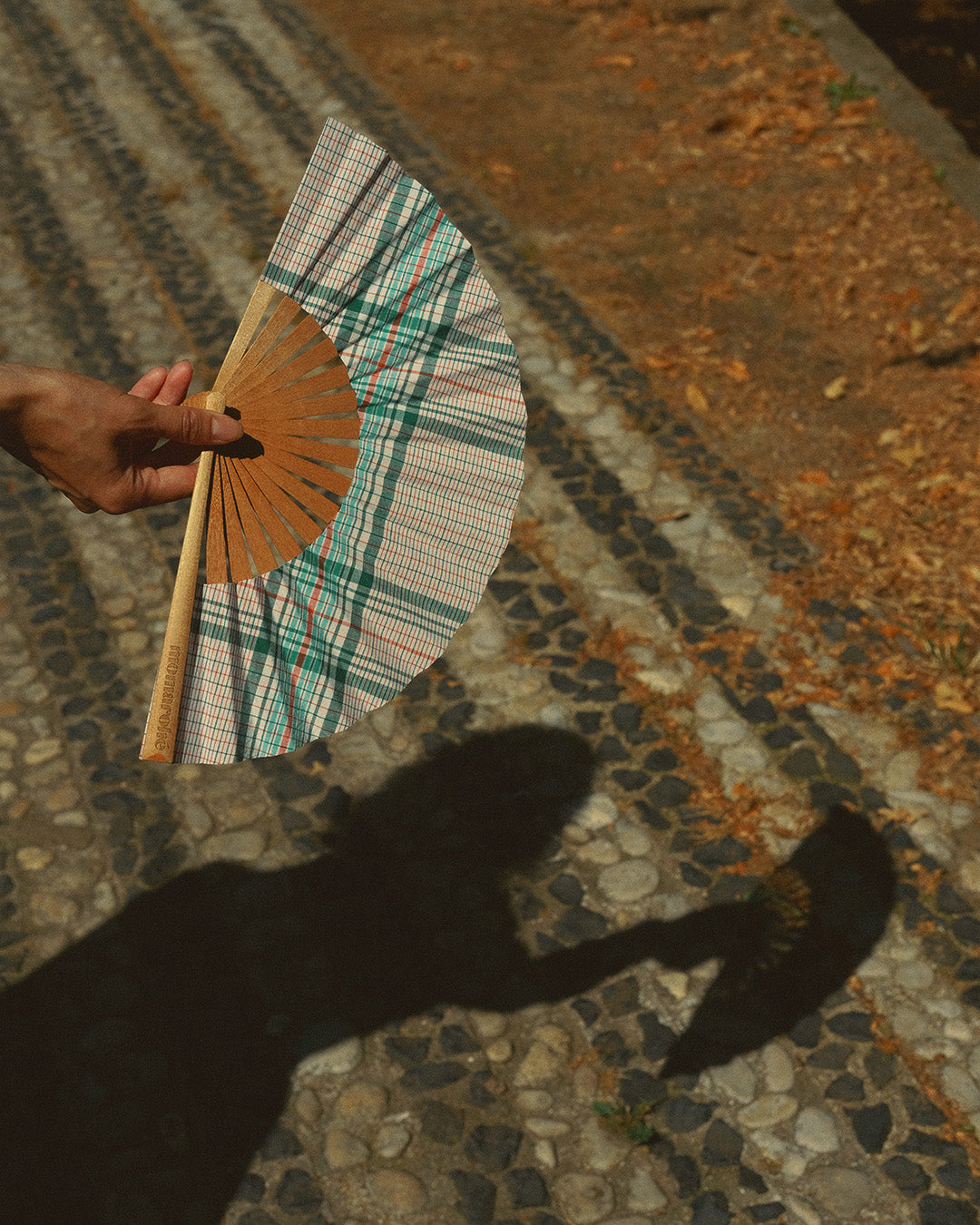 Vansey Fan - momarohé