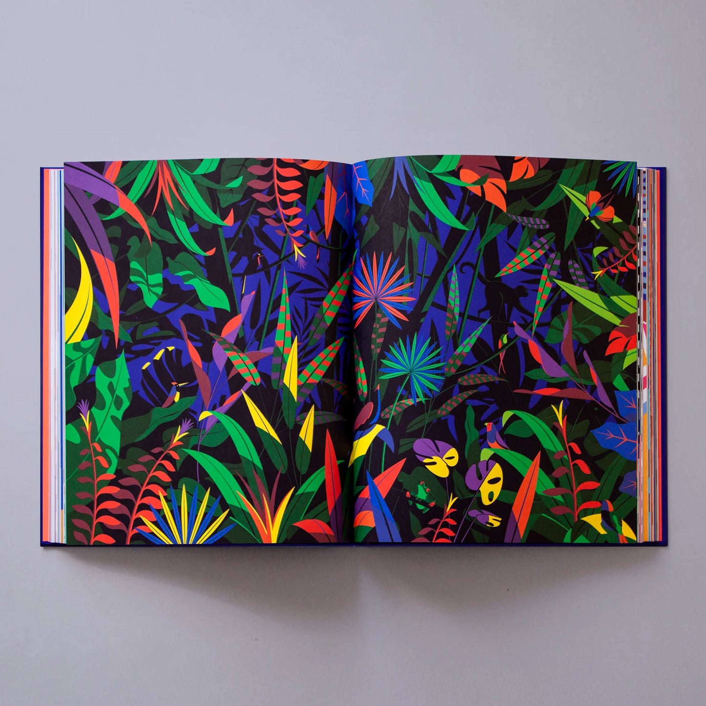 Malika Favre - Artbook